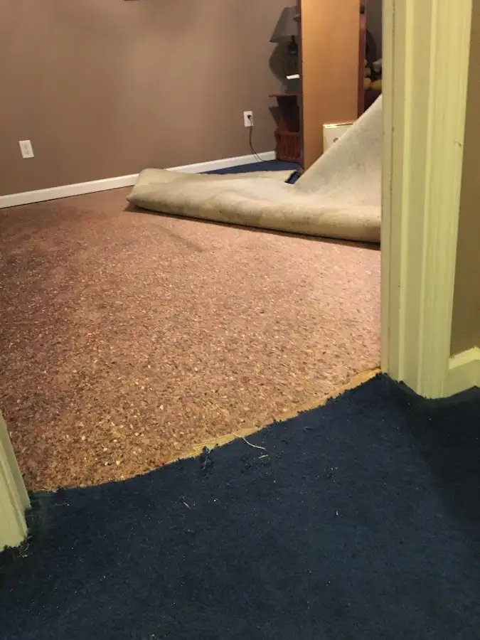 Carpet pad removal revealing water damage during Water Mitigation Services in Ham Lake