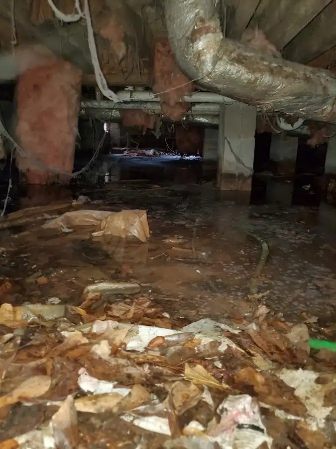 Crawl space flood assessment for Leak Detection & Repair in Ham Lake