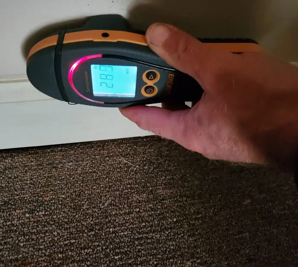 Moisture detection at baseboard during Burst Pipe Cleanup in Ham Lake